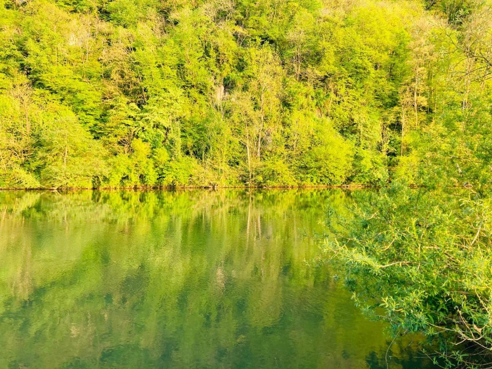 Woody Lodge - Duplex Nature Bonsoy Ardennes Hastiere-par-dela Экстерьер фото